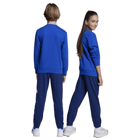 Adidas Παιδικές φόρμες σετ Essentials Big Logo French Terry Joggers Set Adidas Παιδικές φόρμες σετ Essentials Big Logo French Terry Joggers Set